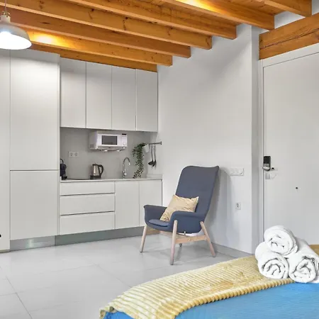 Apartman Loft Elegante En Plaza Del Carmen F3 *